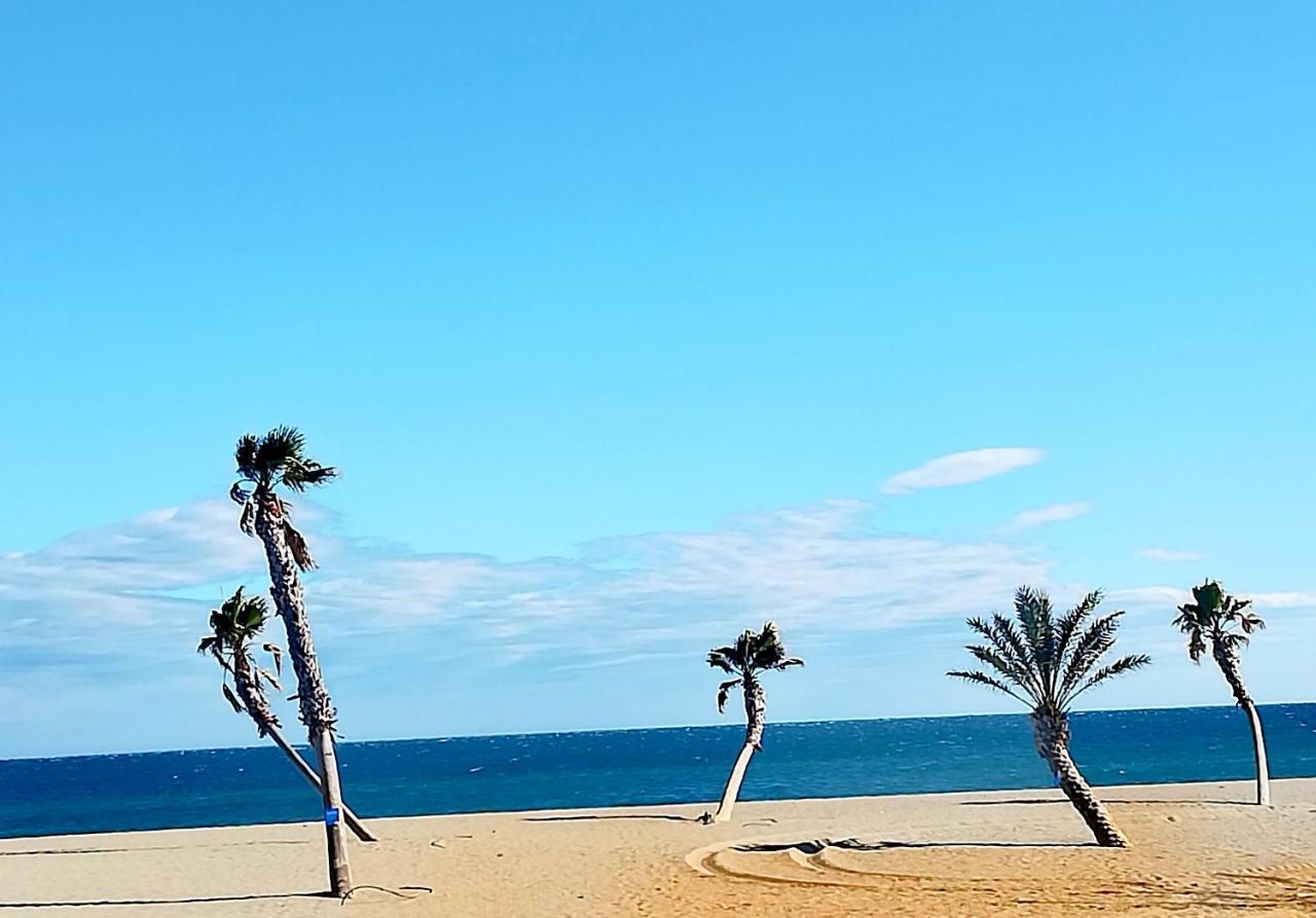 לה ברקרה Appartement Soleil Levant - Acces Direct Plage - Terrasse - Une Chambre - Proche Commerces מראה חיצוני תמונה